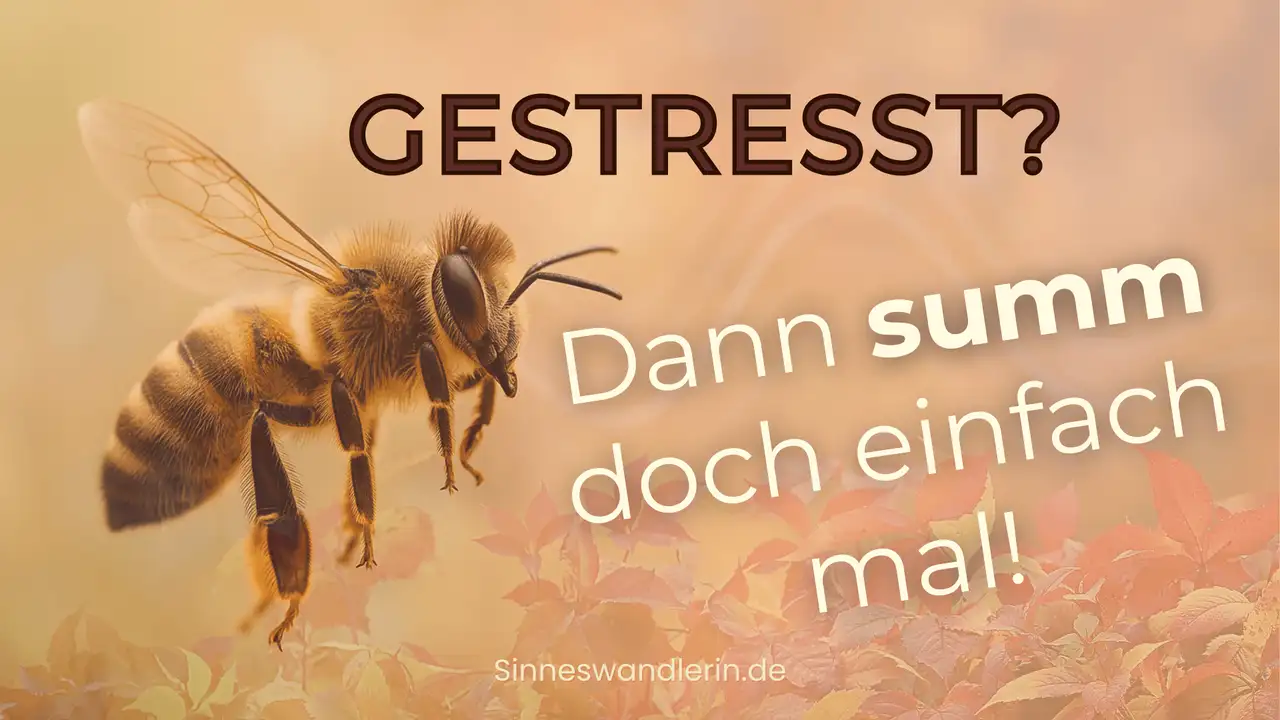 Warum Summen dein Nervensystem beruhigt