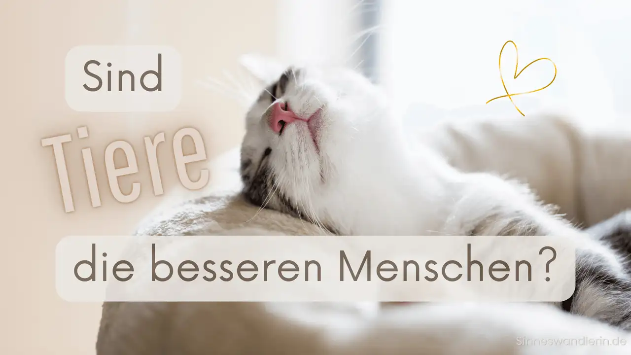 Die Weisheit der Tiere